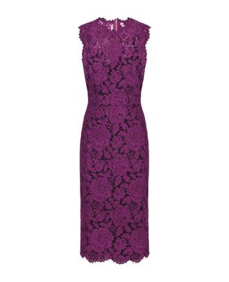 Dolce & Gabbana Dresses