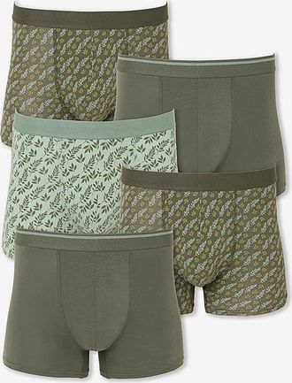 Jacamo 5 Pack Print Hipsters