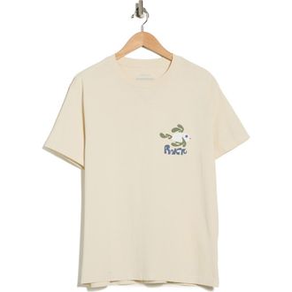 Rvca LA Fish School Graphic T-Shirt in Ceramic at Nordstrom Rack, Size Xx-Large