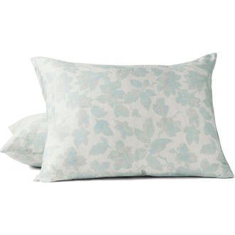 Coyuchi Camellia Organic Cotton Sateen Pillow Sham in Celadon at Nordstrom, Size Euro