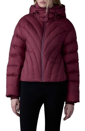 Mackage Hope 750 Fill Power Down Puffer Jacket in Garnet at Nordstrom, Size Xx-Small