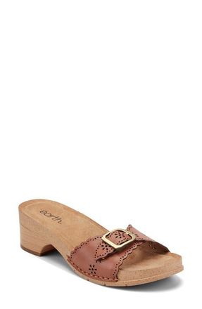 Earth HAISLY Slide Sandal in Medium Brown at Nordstrom, Size 9.5