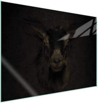 OEM Placa Protectora De Vidrio Para Estufa 70x52 Koza