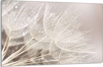 OEM Placa De Protecci&oacute;n De Estufa De Vidrio 80x52 Flor