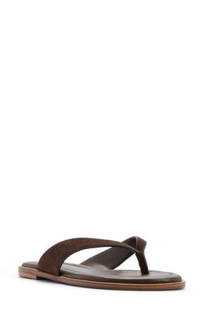 Aldo Autumnlee Flip Flop in Brown at Nordstrom, Size 7.5