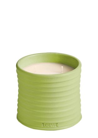 Loewe Cucumber Candle - Medium 610g, Candle, High-intensity Fragrance, Juicy Cucumber, Just-picked From the Vine, Fresh Mint Notes, Medium, 610g
