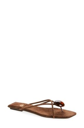 Jeffrey Campbell Cosmos Flip Flop in Brown Suede Combo at Nordstrom, Size 5.5