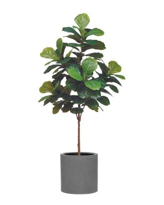 Creative Displays Inc. 6Ft Fiddle Leaf Tree With Fiberstone Planter
