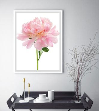 Queence Bild »Beate« Blumenbilder Blätter Foto Kunst