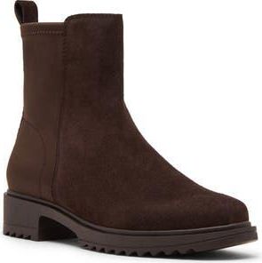 Blondo Caycie Chelsea Zip Bootie in Java Suede/Stretch at Nordstrom Rack, Size 6.5