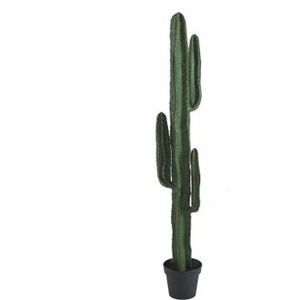 Vente-Unique Albero artificiale cactus - L.26 x P.20 x H.145 cm - Verde - GUADA