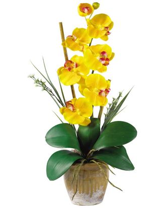 Nearly Natural Phalaenopsis Silk Orchid Flower Arrangement