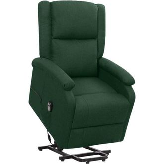 vidaXL Vidaxl - Sill&oacute;n Elevable Tela Verde Oscuro