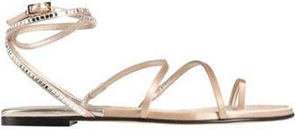 Greymer CALZADO - Sandalias de dedo en YOOX.COM