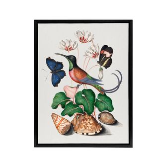 Artery8 Hummingbird Cyclamen Butterflies Seashells Bolton Framed Canvas Art | Size: W24 x H32