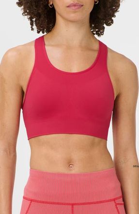 Sweaty Betty Stamina Seamless Sports Bra in Crimson Red at Nordstrom, Size X-Small