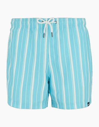 Regatta Mens Regatta Mens Loras Stripe Swim Shorts - Nordic Blue White - Size: 33/32/32
