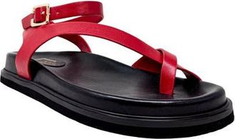 Shushop Berry Ankle Strap Sandal in Red at Nordstrom, Size 8.5