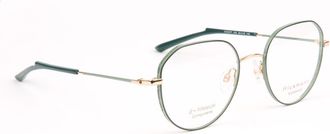 Ana Hickmann Optical Frame HI1247T 12A 50 Titanium