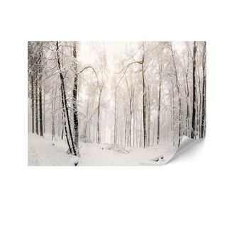 OEM Carta Da Parati Standard In Tessuto Non Tessuto - 100 X 70 Cm - Stile Classico - Natura Carta Da Parati Premium In Tessuto Non Tessuto - 200 X 140 Cm 