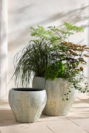 Terrain Barnacle Fiber Concrete Curved Jar Planter