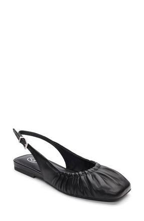 Ash Bibi Ruched Square Toe Slingback Flat in Black at Nordstrom, Size 11Us