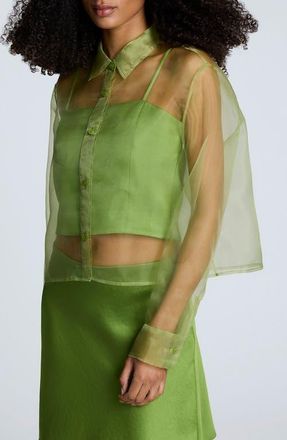 Kenneth Cole Sheer Organza Button-Up Shirt in Cactus Green at Nordstrom, Size X-Small