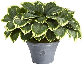 Nearly Natural 23-in Variegated Hosta Artificial Plant in Gray Planter in Green at Nordstrom