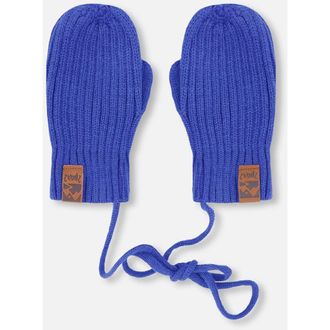 Deux par Deux Boy Rib Knit Mittens with Cord in Royal Blue at Nordstrom, Size 18-24 M