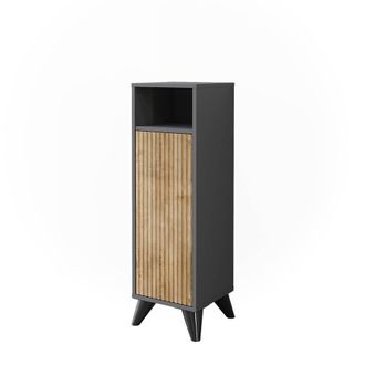 Vicco Mueble Midi Leano, Antracita/roble De Monta&ntilde;a, 30 X 97 Cm Con Puerta