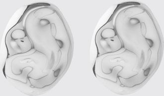 Federica Tosi Jewel FEDERICA TOSI Woman color Silver