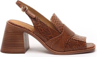 Cecelia New York Womens Splash Shoe In Snake