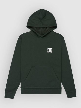 DC Pushing Forward Kids Hoodie groen