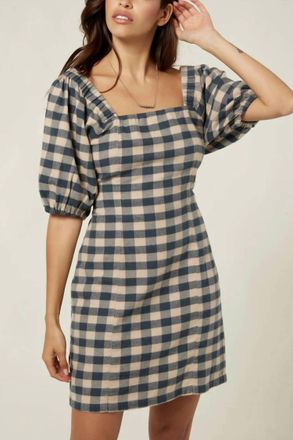O'Neill Abbie Dress In Slate