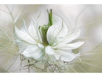 Schubiger M&ouml;bel Bildsystem Nigella