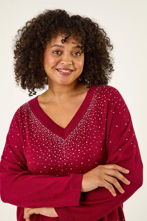 Roman Sparkly Knit Top