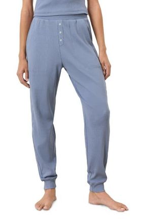 Pact Dream Rib Jogger in Iris Blue at Nordstrom, Size Xx-Large