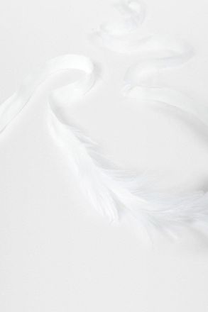 Ann Demeulemeester Zena Cock Feathers on Cotton Ribbon