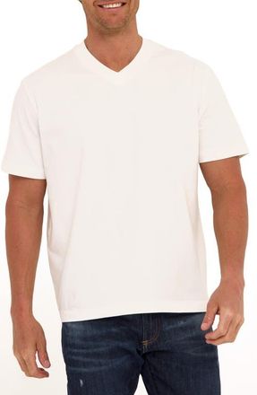 Threads 4 Thought Roger Relaxed Fit V-Neck Cotton Jersey T-Shirt in White at Nordstrom, Size Xx-Large