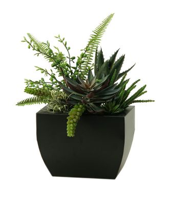 D&W Silks Aloe, Echeveria, Succulents In Rectangle Metal Planter