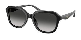 Coach HC8437U CBY87 50023C Womens Sunglasses Black Size 53