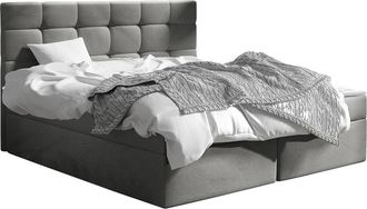 Mirjan24 Cama Continental Comfivo Osculum I, Polo 894, Continental, Doble, 160x200, Tapiz, Somieres, 163x206x112cm