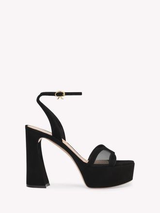 Gianvito Rossi Suede Platform in Black Suede at Nordstrom, Size 39
