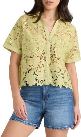NVLT Sheer Cotton Lace Camp Shirt in Pistachio at Nordstrom Rack, Size X-Small
