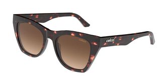 Colcci Cassia C0246F2134 Womens Sunglasses Tortoiseshell Size 52