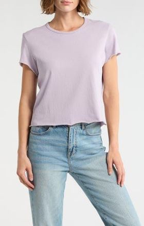 James Perse Shrunken Tee in Parfait at Nordstrom Rack, Size 1