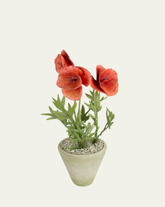 Tommy Mitchell Poppy August Birth Flower in White Terracotta Pot