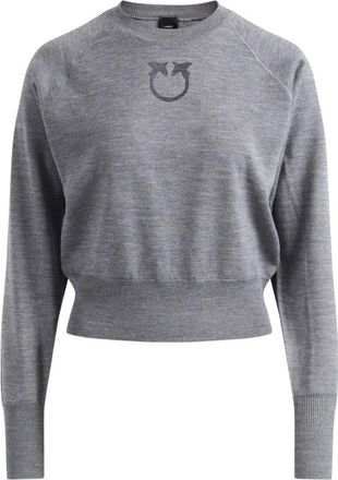 Pinko Pinko, Truien & Vesten, Dames, Grijs, XS, Wol, Lanzarote Knit