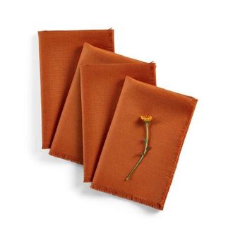 Solino Home Linen Dinner Napkins - Fringe, 20 x 20 in Cinnamon at Nordstrom, Size Large