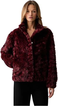 Silvian Heach Kraev Korte Jas - Dames - Jassen - Rood - S - Polyester - Jassen